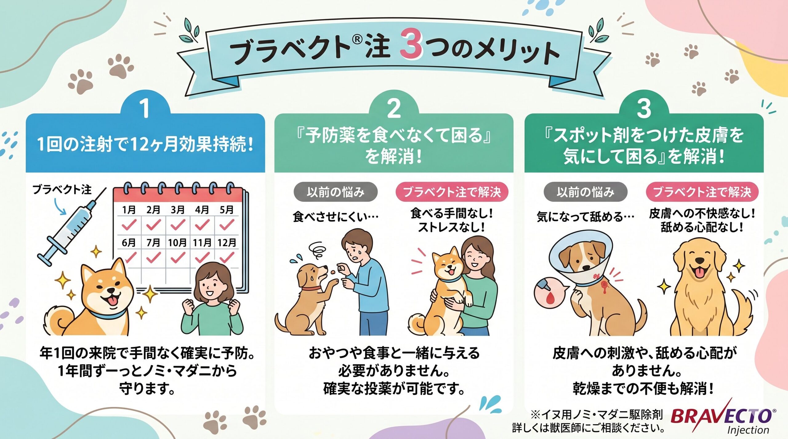 ノミダニ予防の注射薬（ブラベクト注）取り扱い始めました | かつらぎ